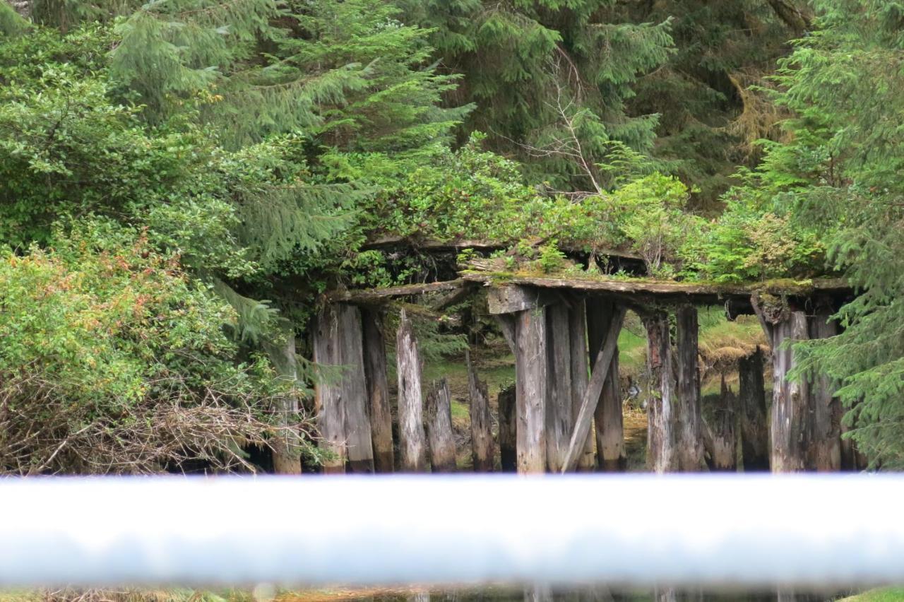 ポート・レンフルー A Shack In The Woodsヴィラ エクステリア 写真