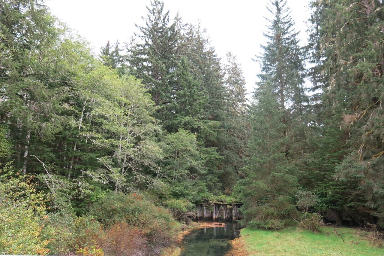 ポート・レンフルー A Shack In The Woodsヴィラ エクステリア 写真